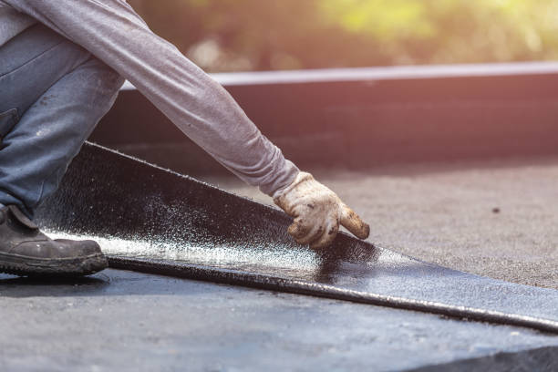 Professional Interior Drainage System technician working in Eva, AL